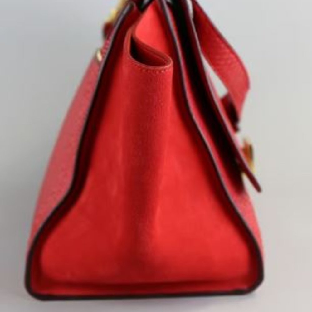 Celine Trapeze Python/Suede Satchel Bag - Picture 6 of 7